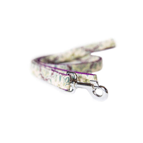 Purple Mulberry Leash Silver Collection