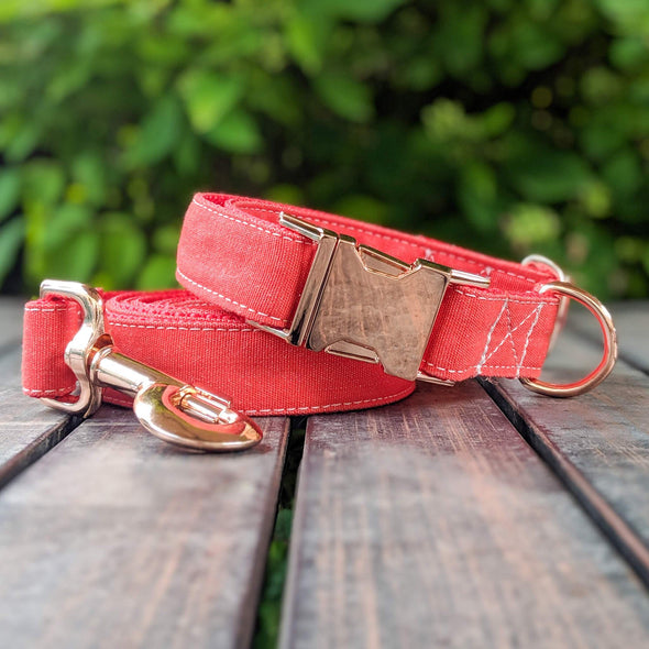 Fuego Red Dog Leash Rose Gold Collection