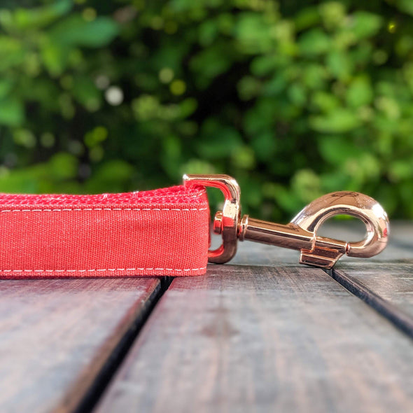 Fuego Red Dog Leash Rose Gold Collection