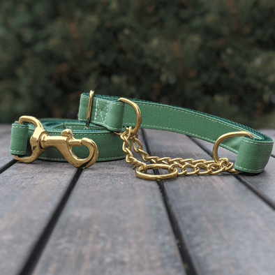 Evergreen Martingale Dog Collar and Leash Set Gold Collection
