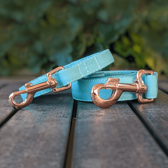Aqua Getaway Dog Collar and Leash Set Rose Gold Collection