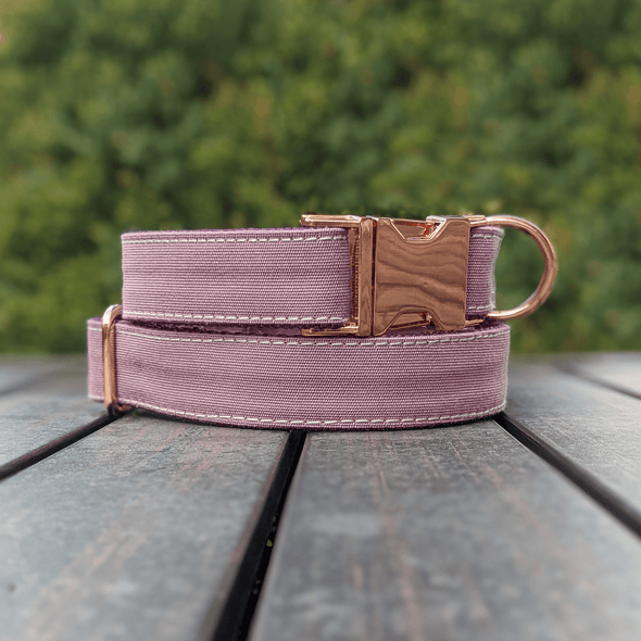 Amethyst Dog Collar Rose Gold Collection