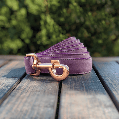 Amethyst Dog Leash Rose Gold Collection
