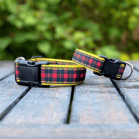 Cozy Cottage Dog Collar and Leash Set