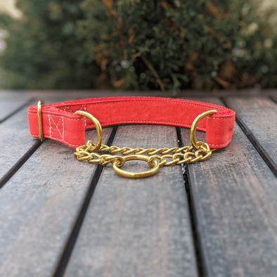Fuego Red Martingale Dog Collar Gold Collection