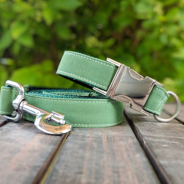 Evergreen Dog Leash Silver Collection