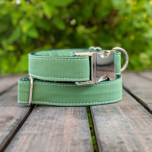 Evergreen Dog Collar and Leash Set Silver Collection