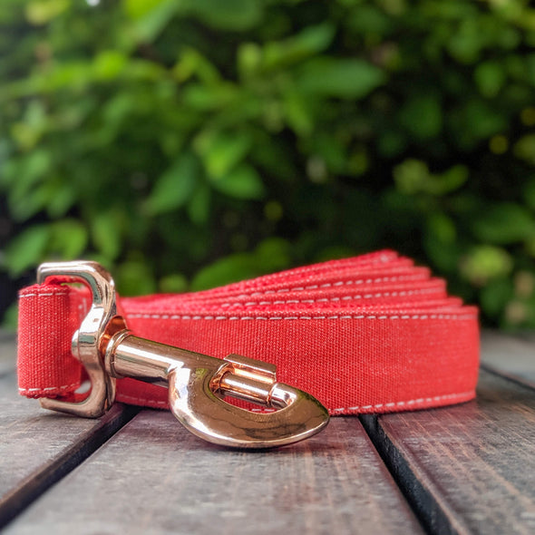 Fuego Red Dog Collar and Leash Set Rose Gold Collection