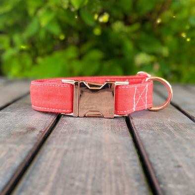 Fuego Red Dog Collar Rose Gold Collection