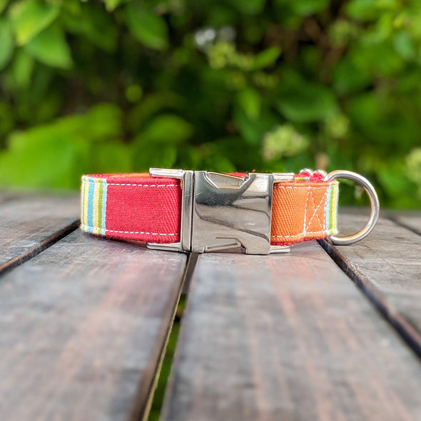 Strawberry and Orange Popsicle Dog Collar Silver Collection
