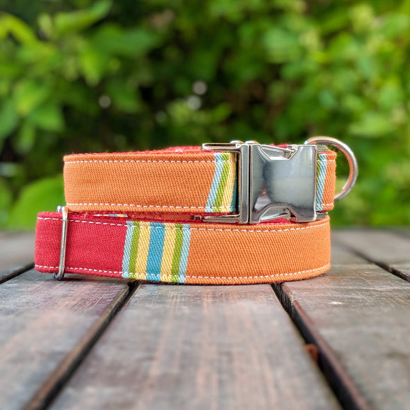 Strawberry and Orange Popsicle Dog Collar Silver Collection
