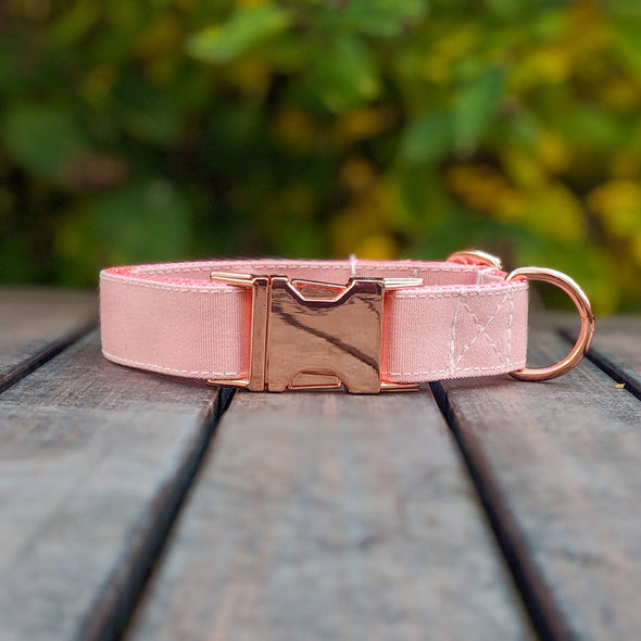 Pink Champagne Dog Collar Rose Gold Collection