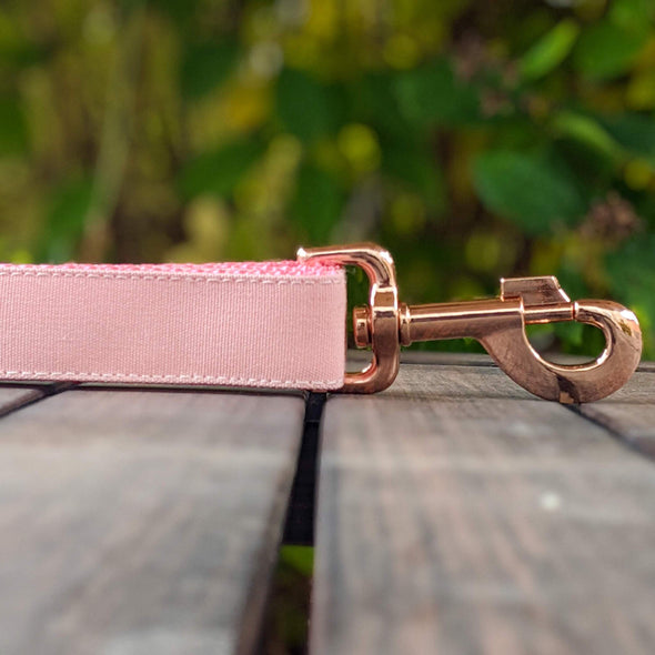 Pink Champagne Dog Leash Rose Gold Collection