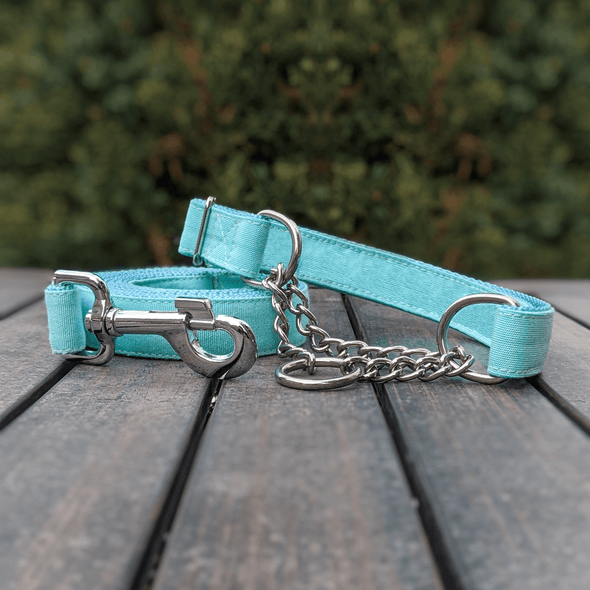 Aqua Getaway Martingale Dog Collar and Leash Set Silver Collection