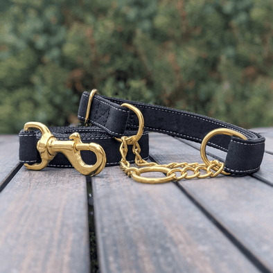 Onyx Martingale Dog Collar and Leash Set Gold Collection