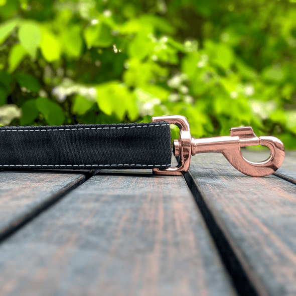 Onyx Dog Collar and Leash Set Rose Gold Collection