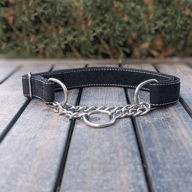 Onyx Martingale Dog Collar Silver Collection