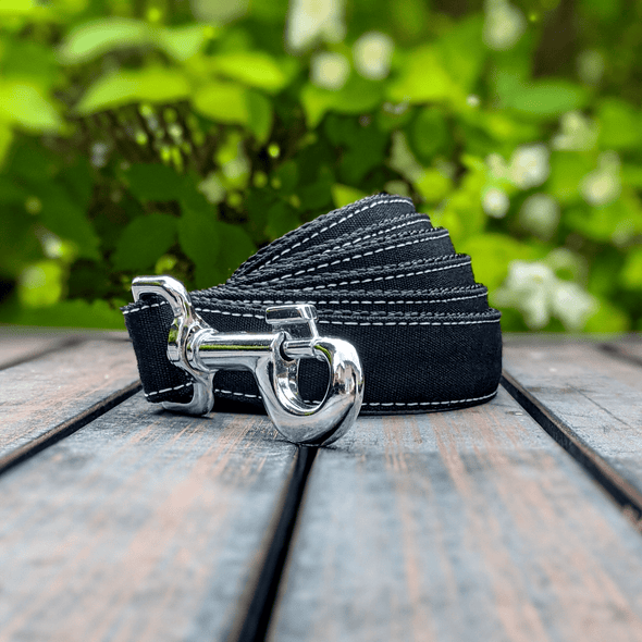 Onyx Dog Collar and Leash Set Silver Collection