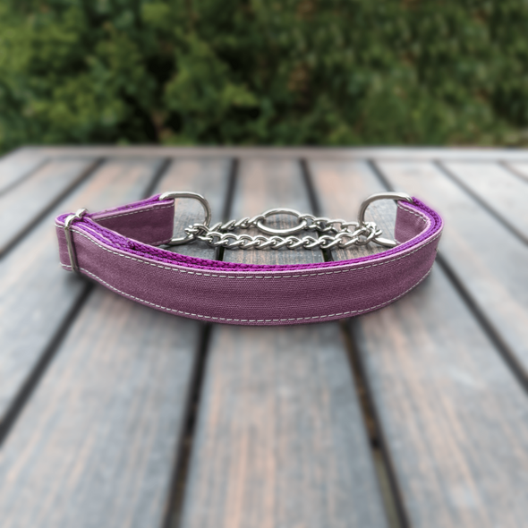 Amethyst Martingale Dog Collar and Leash Set Silver Collection