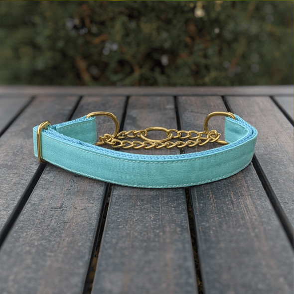 Aqua Getaway Martingale Dog Collar and Leash Set Gold Collection