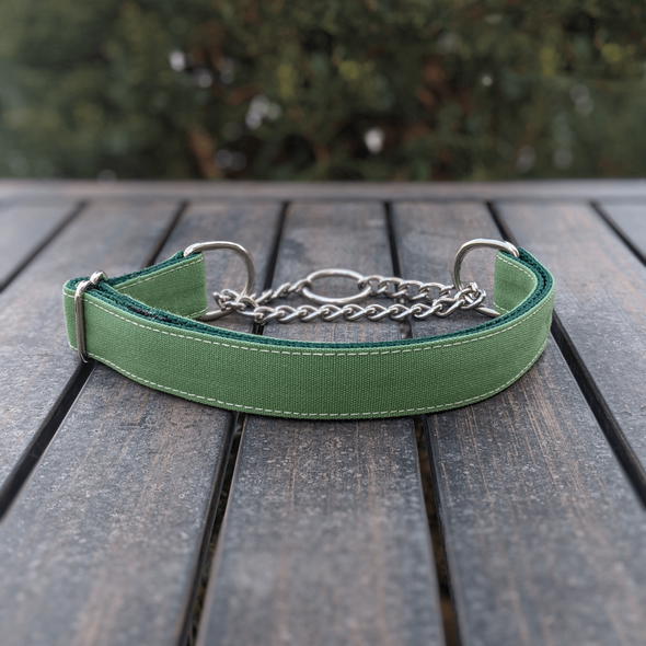 Evergreen Martingale Dog Collar and Leash Set Silver Collection