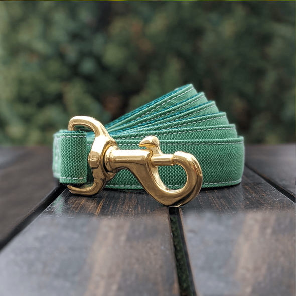 Evergreen Martingale Dog Collar and Leash Set Gold Collection