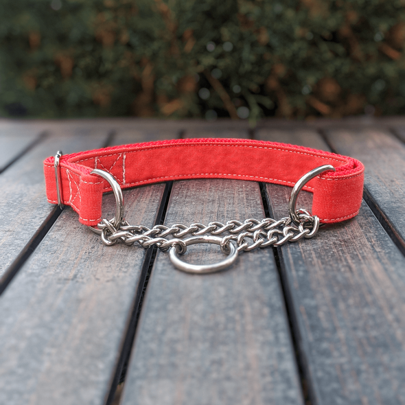 Fuego Red Martingale Dog Collar and Leash Set Silver Collection