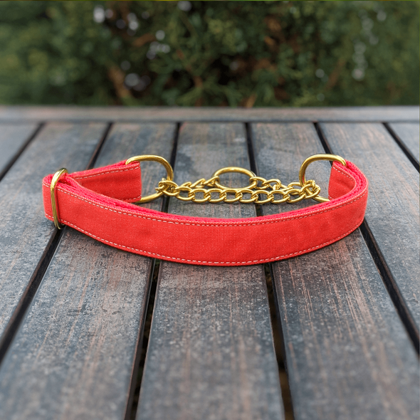Fuego Red Martingale Dog Collar and Leash Set Gold Collection