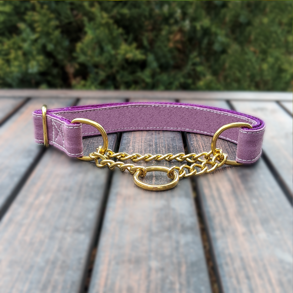 Amethyst Martingale Dog Collar and Leash Set Gold Collection