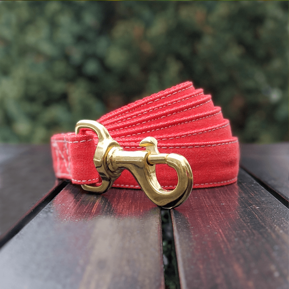Fuego Red Martingale Dog Collar and Leash Set Gold Collection
