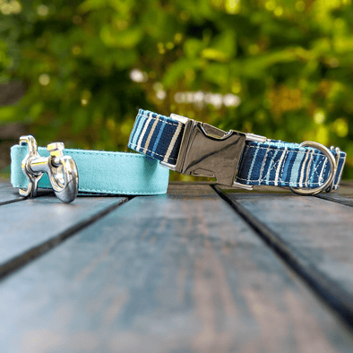 Drip Blue Dog Collar and Leash Set Silver Collection