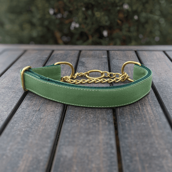 Evergreen Martingale Dog Collar Gold Collection