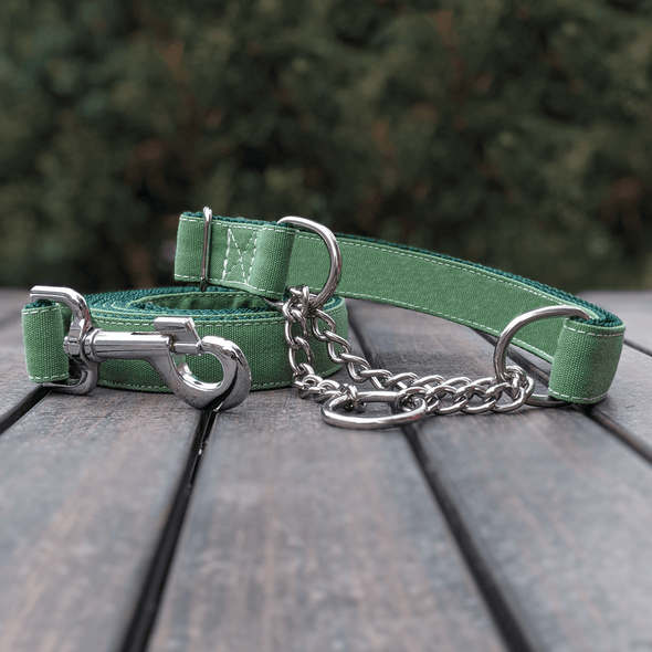 Evergreen Martingale Dog Collar and Leash Set Silver Collection