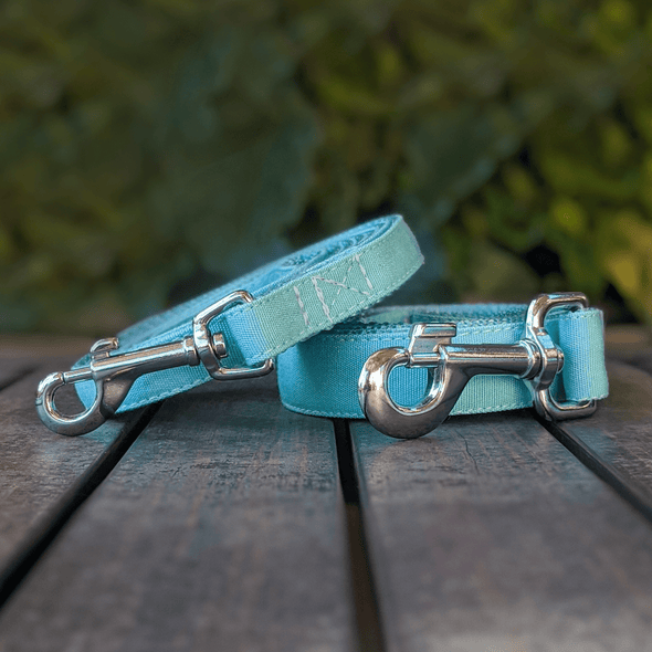 Drip Blue Dog Collar and Leash Set Silver Collection