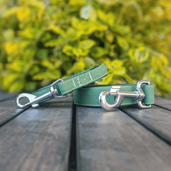 Evergreen Dog Collar and Leash Set Silver Collection
