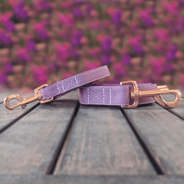 Amethyst Dog Collar and Leash Set Rose Gold Collection