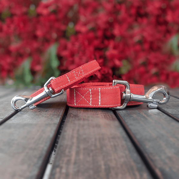 Fuego Red Dog Collar and Leash Set Silver Collection