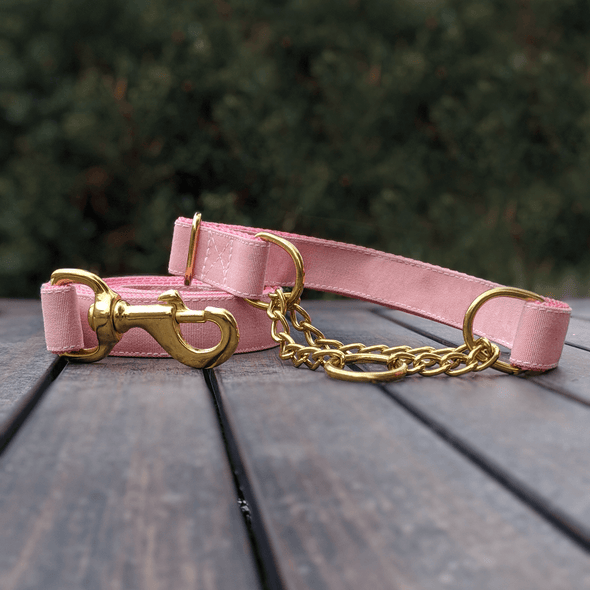 Pink Champagne Martingale Dog Collar Gold Collection