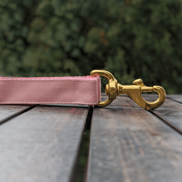 Pink Champagne Dog Leash Gold Collection