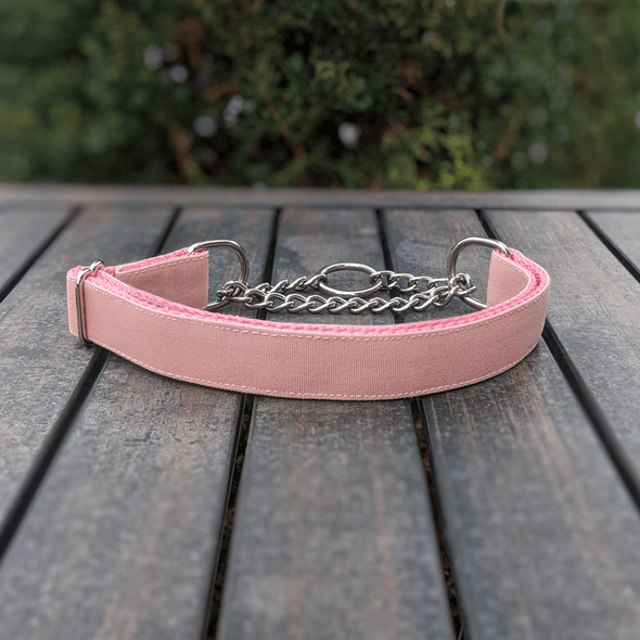 Pink Champagne Martingale Dog Collar Silver Collection
