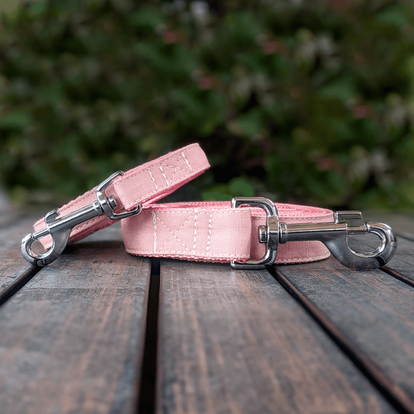 Pink Champagne Dog Leash Silver Collection