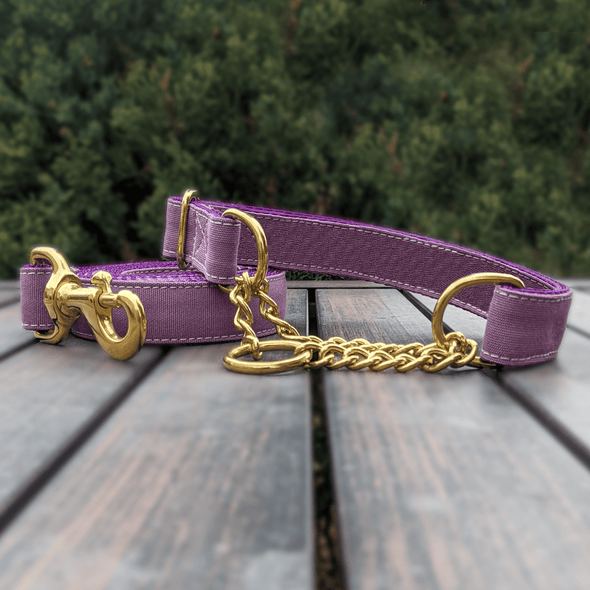 Amethyst Martingale Dog Collar Gold Collection