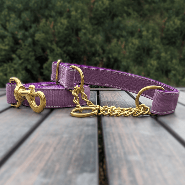 Amethyst Martingale Dog Collar and Leash Set Gold Collection