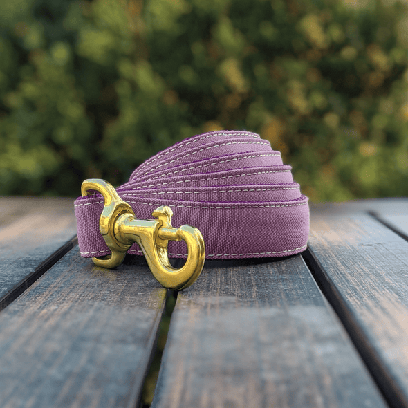 Amethyst Dog Leash Gold Collection
