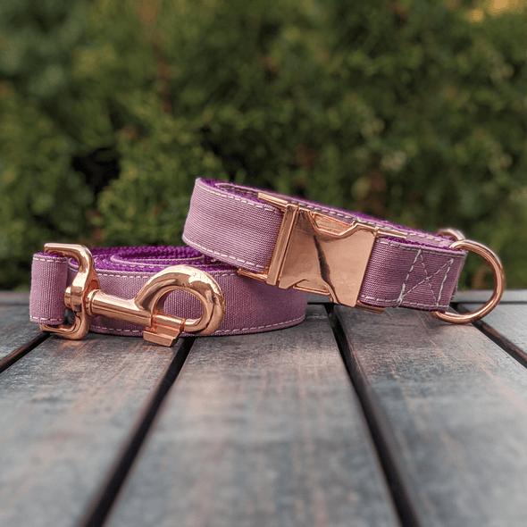 Amethyst Dog Collar and Leash Set Rose Gold Collection