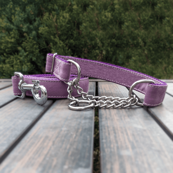 Amethyst Martingale Dog Collar Silver Collection