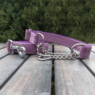 Amethyst Martingale Dog Collar and Leash Set Silver Collection