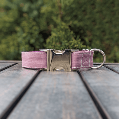 Amethyst Dog Collar Silver Collection