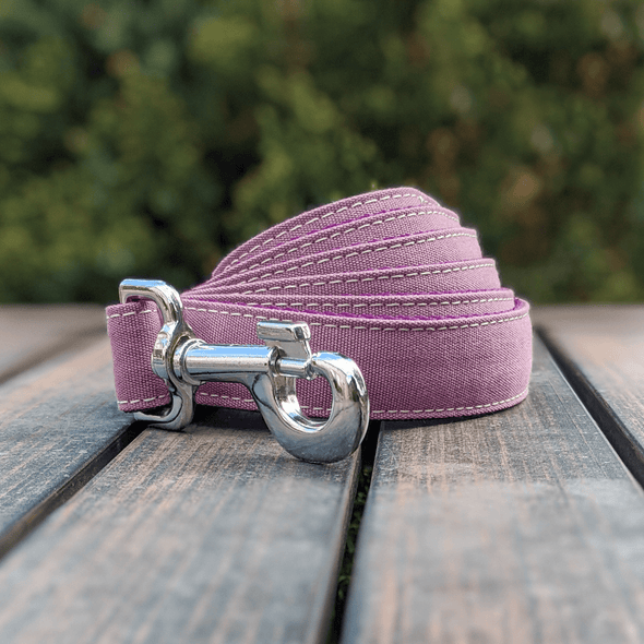 Amethyst Dog Collar and Leash Set Silver Collection