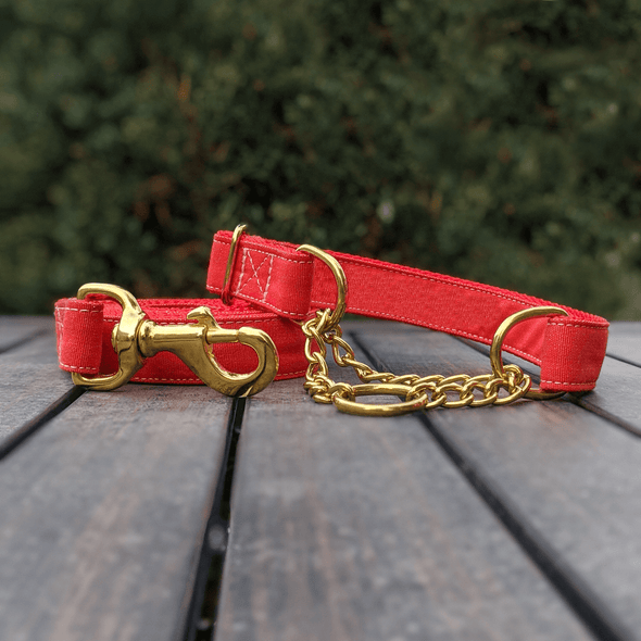 Fuego Red Dog Leash Gold Collection